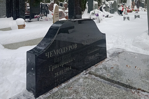 Могила народного художника Е. Г. Чемодурова на Восточном кладбище в Минске, фото