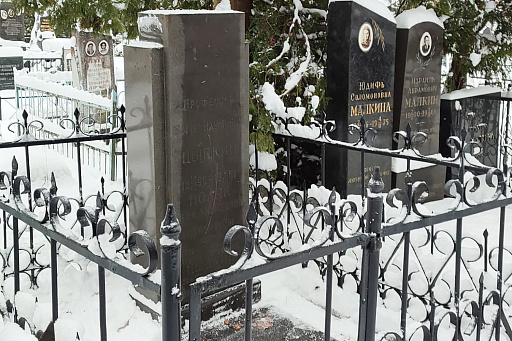 Могила видного хирурга Б. Н. Цыпкина на Восточном кладбище Минска, фото