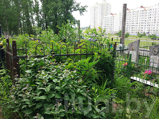 Кладбище Малый Тростенец в Минске, фото