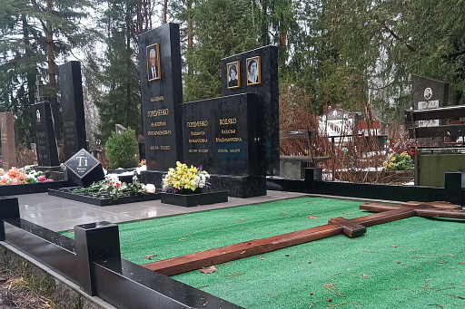 Могила академика Гордиенко А. И. на Северном кладбище, фото