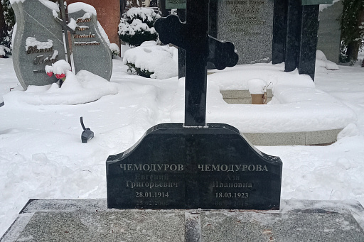 Могила народного художника Е. Г. Чемодурова на Восточном кладбище в Минске, фото